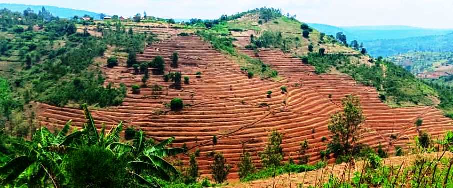 RwandaAgriBoard's tweet photo. The photos show the before &amp; after construction of radical land terracing in Kansi sector, @GisagaraDistr, by @RwandaAgriBoard through the #CDAT project. The aim is to control soil erosion, boost soil fertility, increase agricultural productivity, &amp; improve farmers' livelihoods. https://t.co/YXvMObCu4W