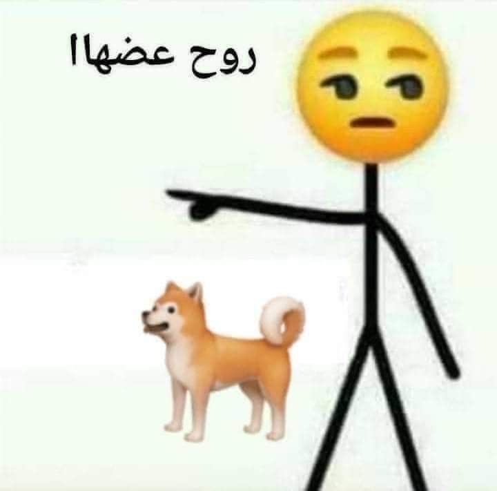 انيقه🕊️ tweet media