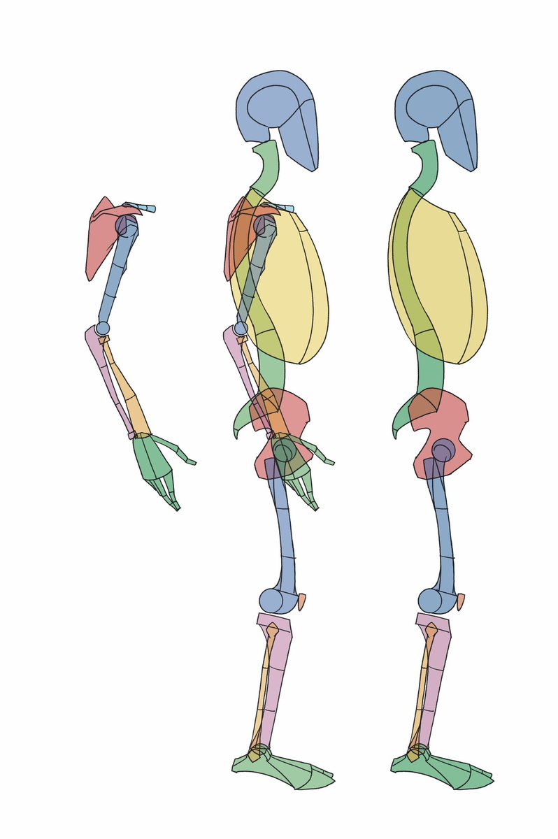 「」|伊豆の美術解剖学者のイラスト