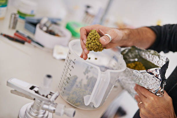 Camrosh's tweet photo. Global #PrecisionFermentation market to reach $73.8 billion by 2032 with a 40.9% CAGR. 

Driven by #Sustainability, biotech, and investment. 

Learn more: https://t.co/0GdnRWFaT3 https://t.co/0p88roR9C9