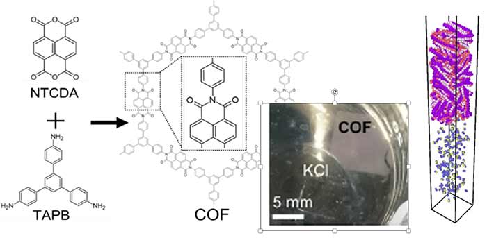 PWMaterials's tweet photo. There is still time to sign up for TODAY's new webinar, 'Covalent organic framework as a carbon-dioxide separation membrane'.

Join the audience for a live webinar at 2 p.m. BST/10 p.m. JST.

Register here >> https://t.co/HO4JPHgRhV

#materials #vacuum #carbon https://t.co/cf6rfpe2CU