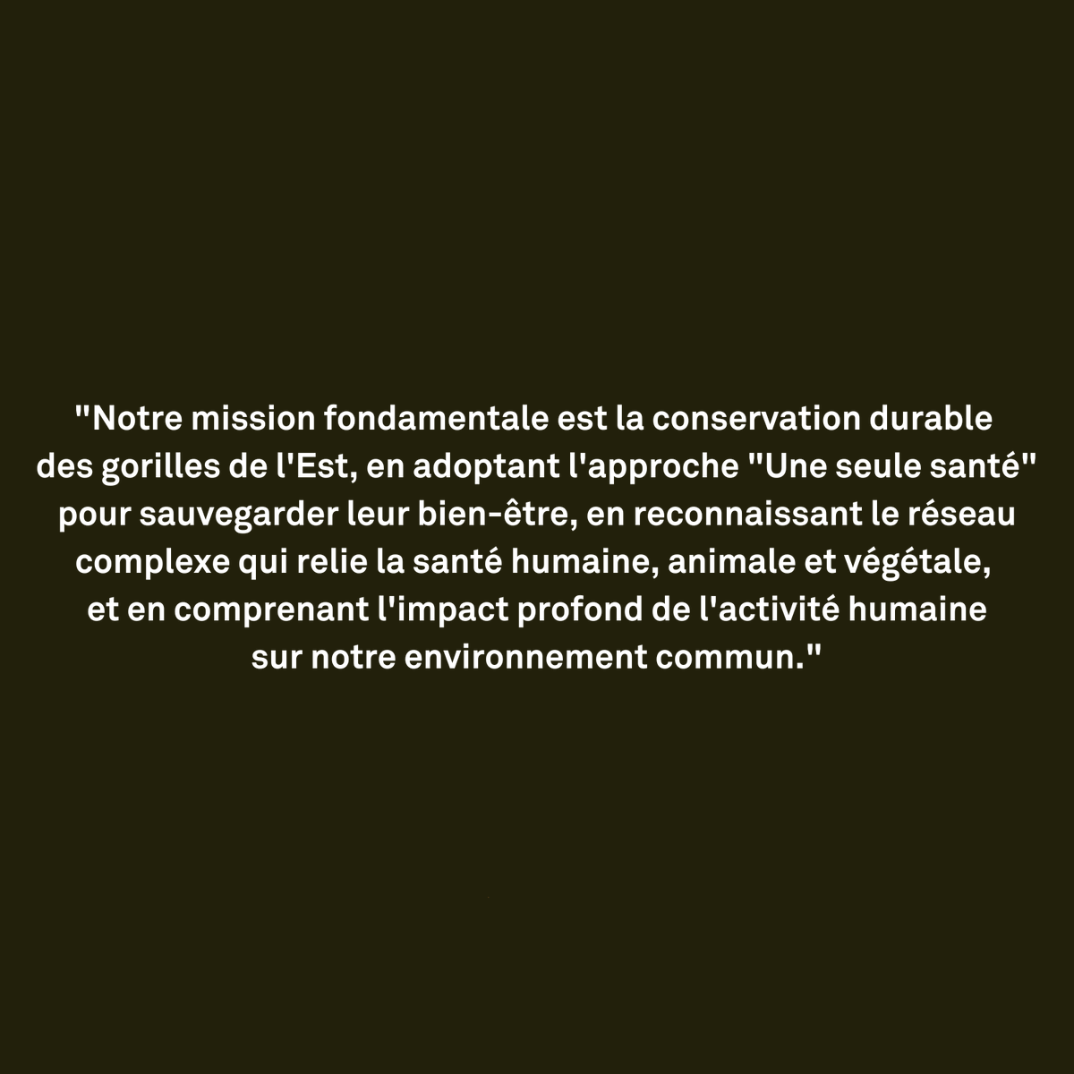 gorillacd's tweet photo. Dr. Eddy, vétérinaire en chef de @Gorilla_Doctors en RDC, travaille en étroite collaboration avec le Parc National des Virunga pour sauvegarder et préserver ses populations de gorilles de l'Est.
📸 Skyler Bishop
#UneSeuleSanté #MissionConservation