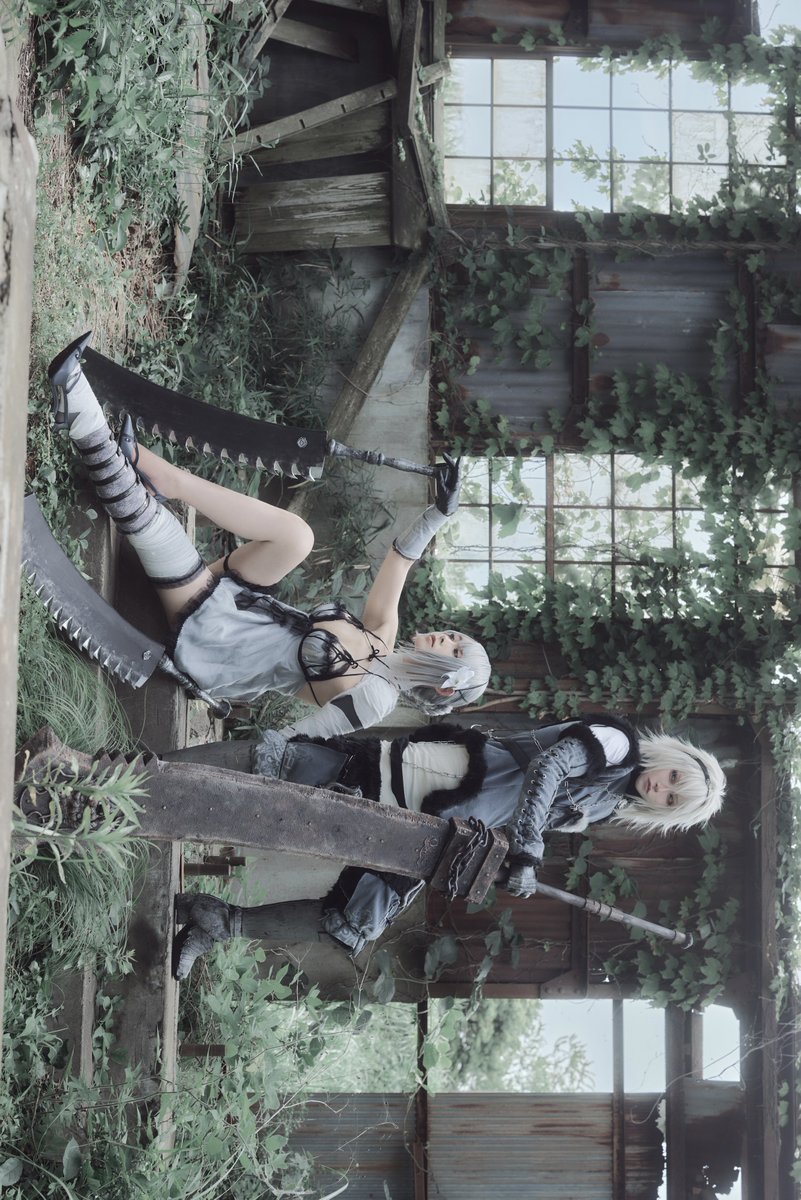 らい🐈 tweet media