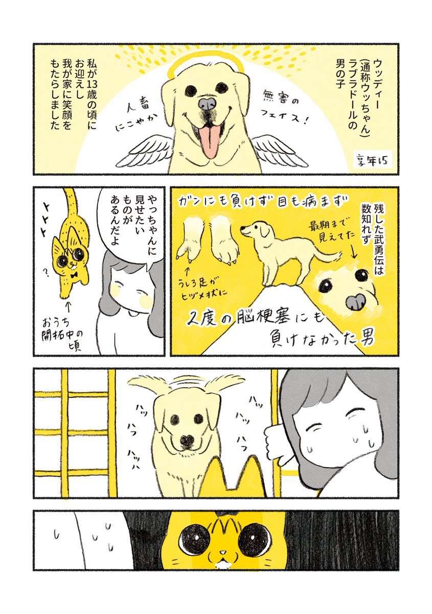 茶トラのやっちゃんと ラブラドールのウッちゃんの思い出🐱🐶