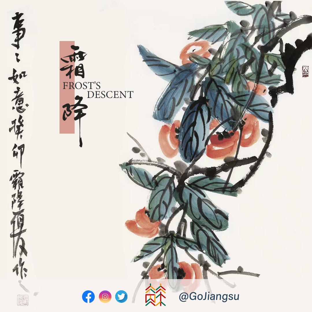 GoJiangsu's tweet image. Frost&apos;s Descent, (Chinese:霜降), the last solar term of autumn, begins this year on Oct 24 and ends on Nov 7. With temperature dropping and frost beginning to appear, many #Jiangsu residents prefer to eat freshly roasted chestnuts to keep themselves warm. #solarterms