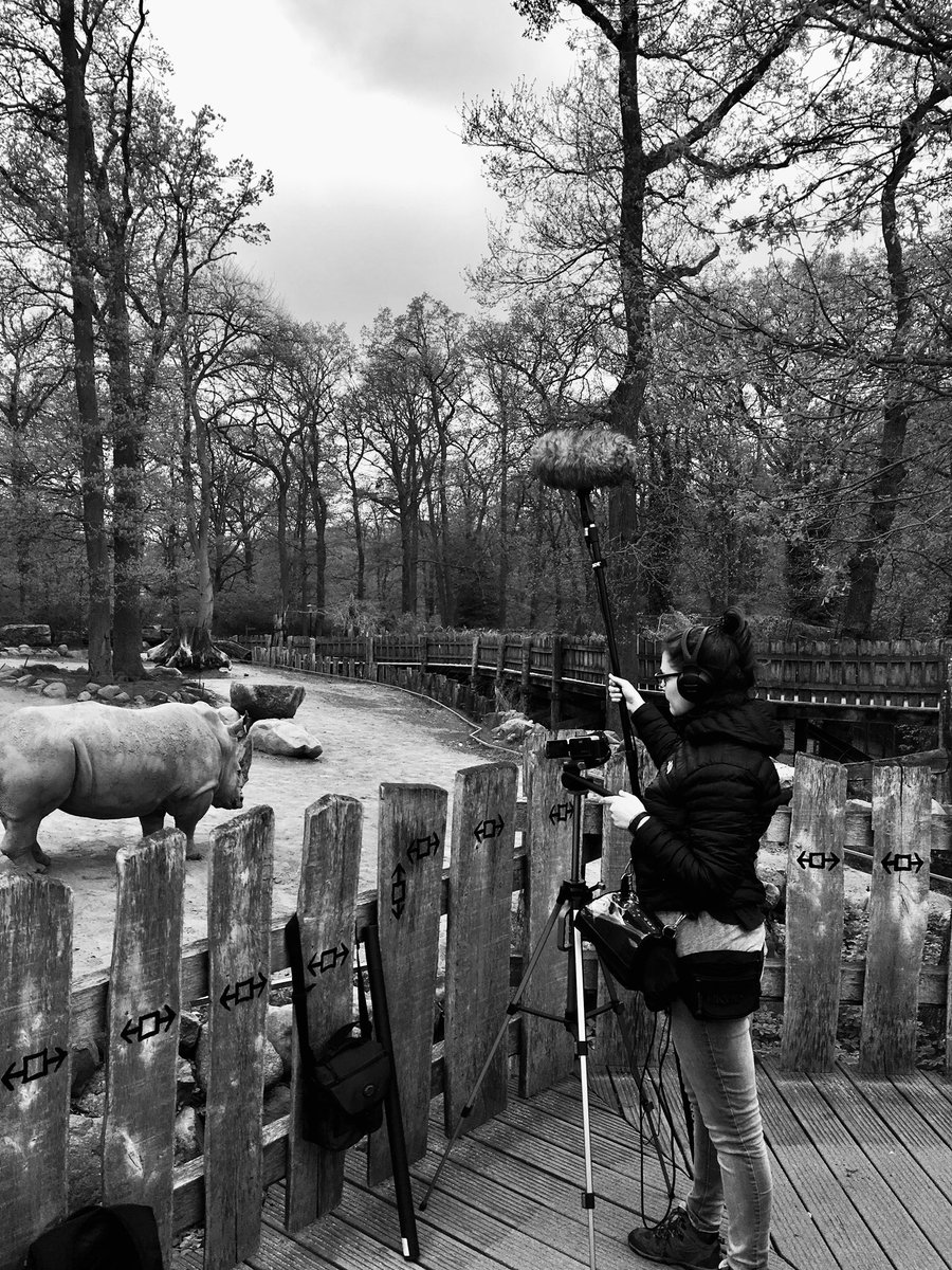 rhinointerview's tweet photo. #jobsearch I, a behavioral #biologist by 👩🏻‍🎓 &amp; conservationist by ♥️,  with a PhD in „VetResearch &amp; Animal Biology“ + yrs of experience in #zoo &amp; #wildliferesearch, field work, project management &amp;  #scicomm am looking for a position located in Upstate #SC 🇺🇸 starting Jan 24. 
1/ https://t.co/epmWxdAtZV