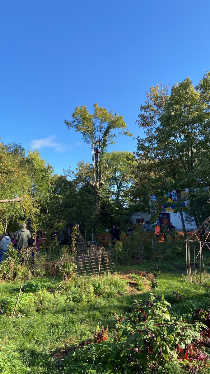 La_Deroute's tweet photo. Le département @Les_Yvelines entre par la force sur un terrain occupé légalement par un habitant membre du collectif @SequanaNoPontHR pour abattre sans les autorisations réglementaires nécessaires un tilleul vieux de 150 ans.

Vous reprendrez bien un petit jeu à gratter 😡😡 https://t.co/sbUCFfxm0i