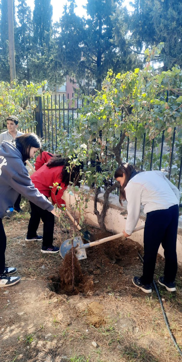kiraz_mem's tweet photo. Kiraz Çok Programlı Anadolu Lisesi öğrencilerimiz Cumhuriyetimizin 100. Yılı etkinlikleri kapsamında fidan dikimi gerçekleştirdi. 🇹🇷 https://t.co/ud5DfryTeX