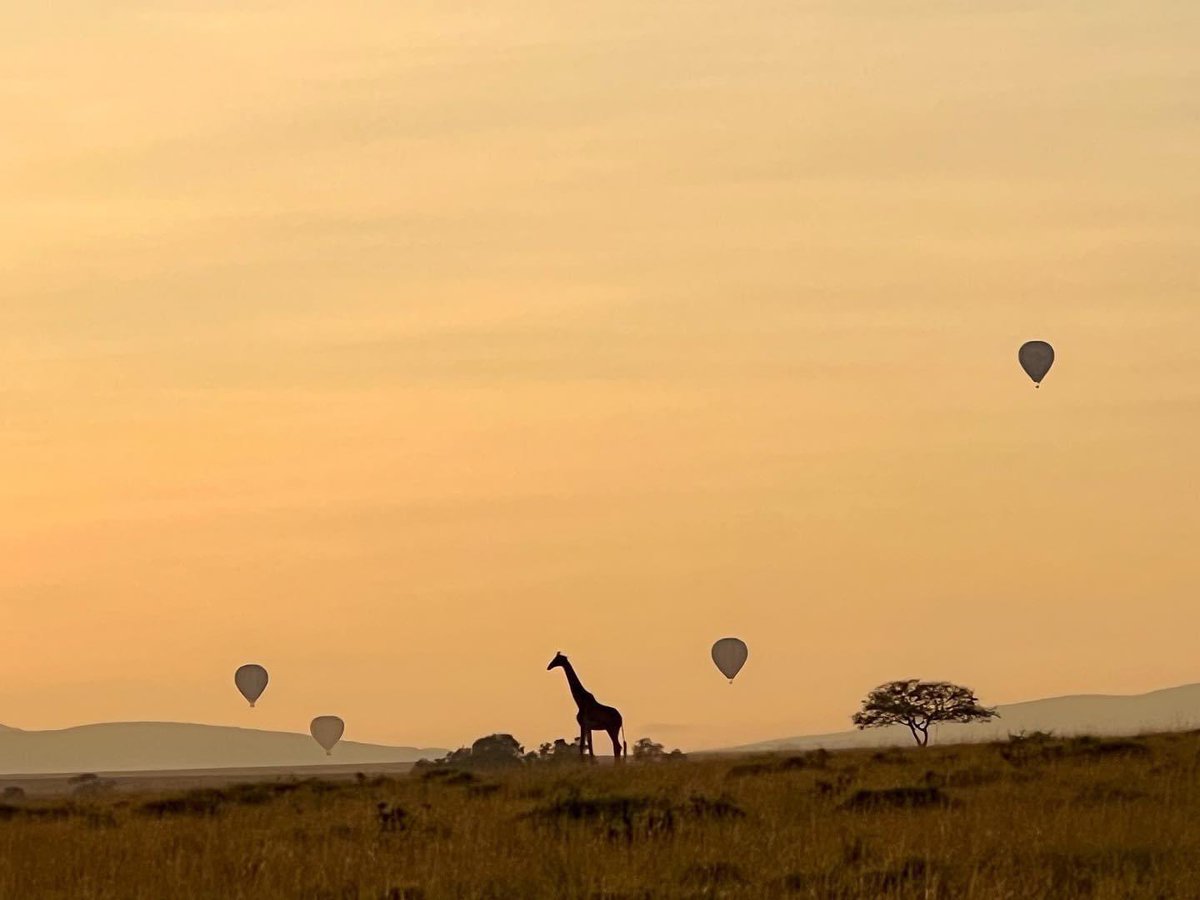 Morning sunrise and sunsets over the Mara. 
@isharakenya 
Photos: @danielbrowntravel 
#kenya #masaaimara #masaimara  #safari #isharamara #dmafrica #everythingextraordinary