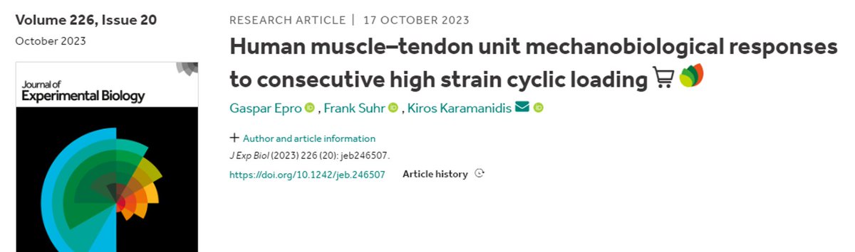 🚨NEW PAPER ALERT🚨Long time coming, happy to get it finally ready and out there😎 Increased max AT strain and indications of micro-damage following frequent high magnitude cyclic loading (12 consecutive days 3x day at 90% MVC) <a href="/J_Exp_Biol/">Journal of Experimental Biology</a> (doi.org/10.1242/jeb.24…)