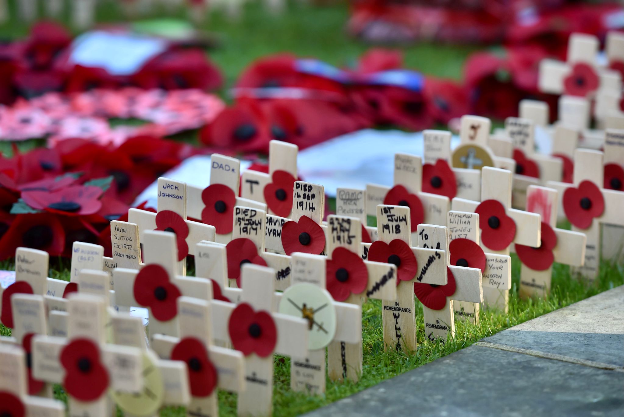 Poppy crosses planted at St Helens Cenotaph