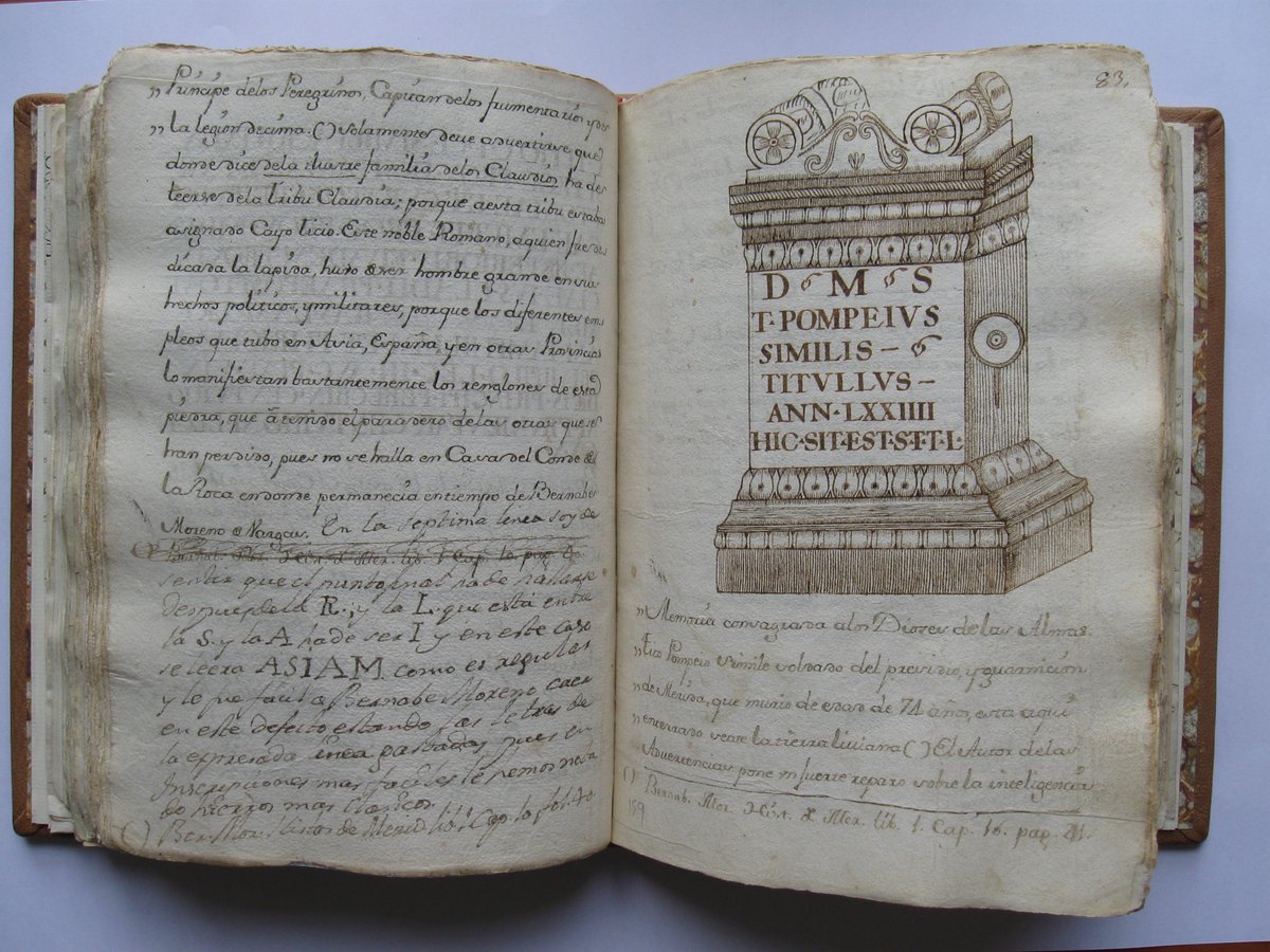 Museo Arqueológico Provincial de Badajoz tweet media