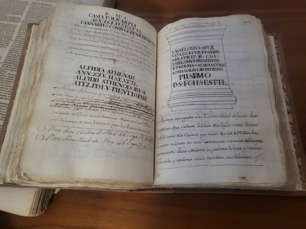 Museo Arqueológico Provincial de Badajoz tweet media