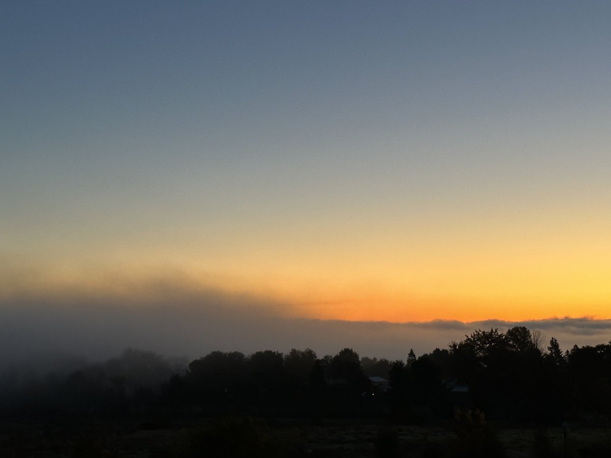 Faith Matchett tweet media