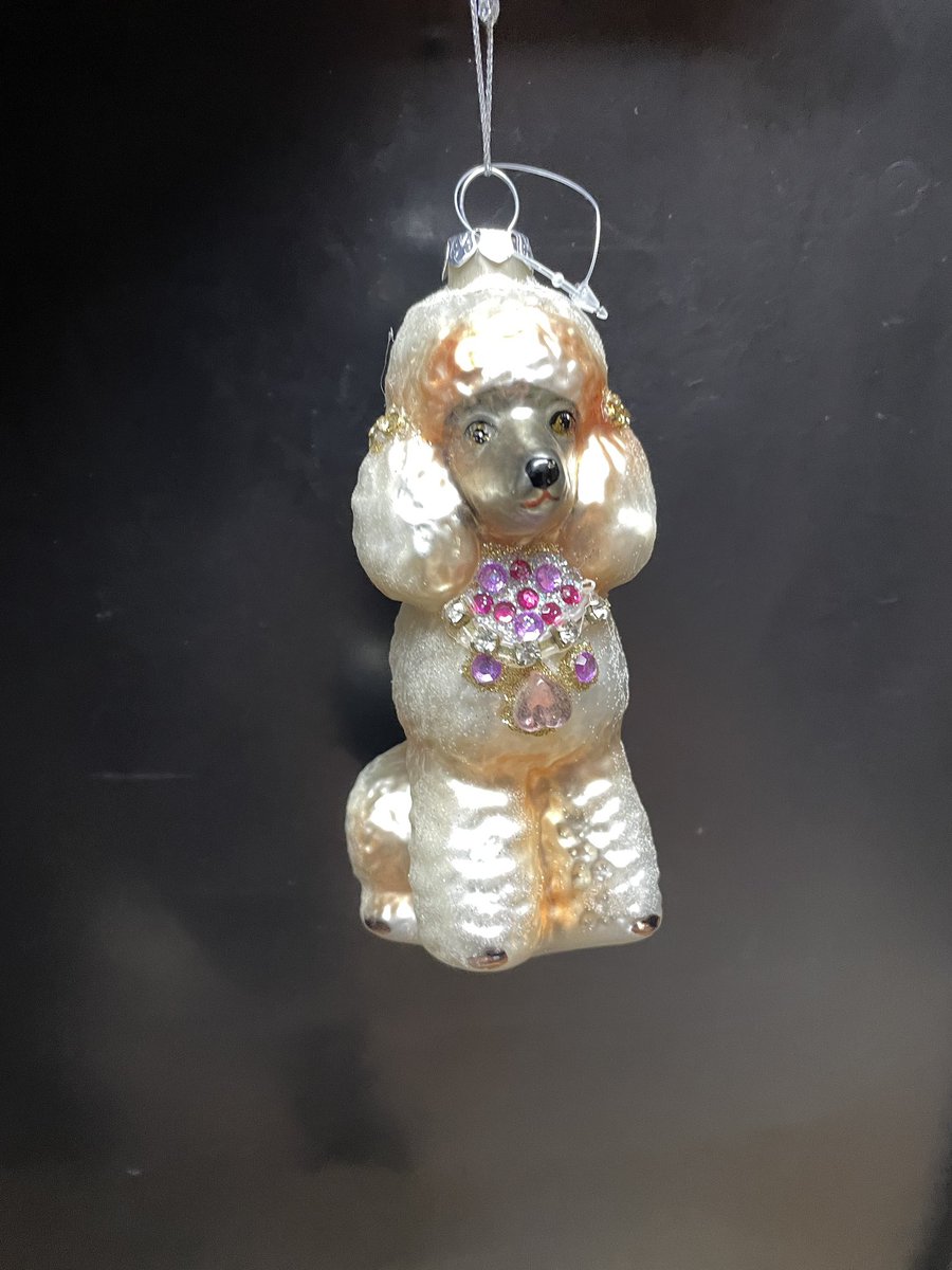 Zoooooo je zou toch bijna exprés de poedelprijs willen winnen bij de kerstquizzen dit jaar!