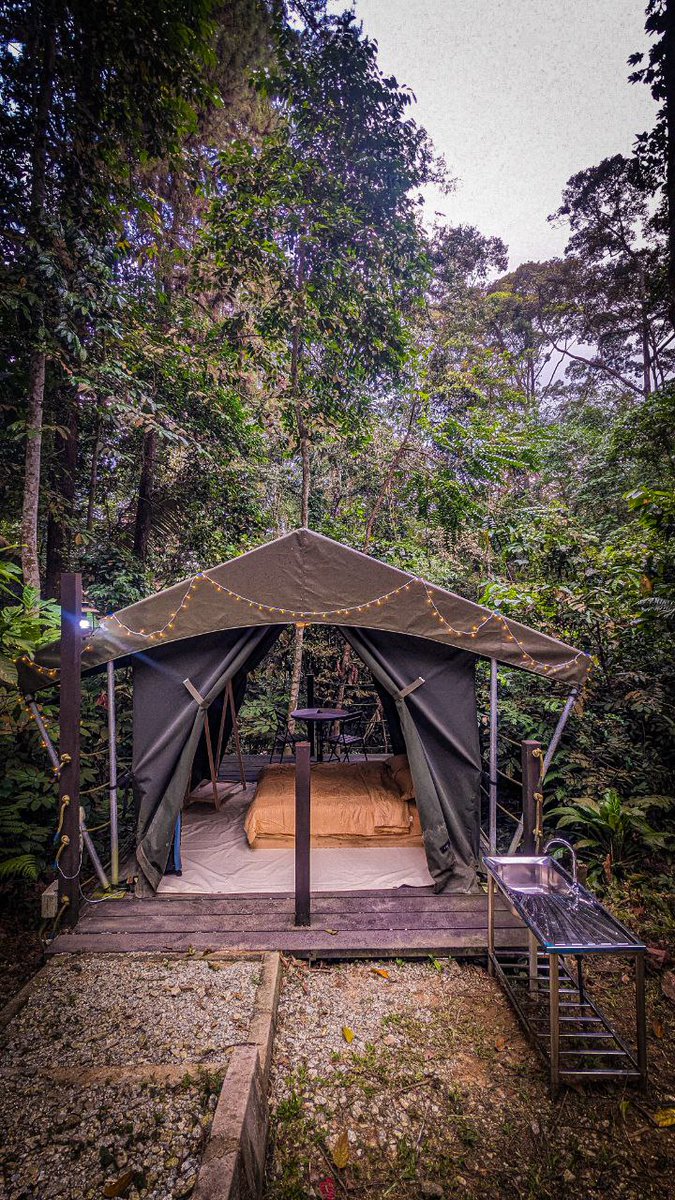 #Glamping @ #𝗞𝗲𝗺𝗣𝗶𝗻𝗲 <a href="/FRIMKepong/">FRIM</a> 

𝗟𝗜𝗠𝗔 unit khemah (muat 2-4👪)

Harga: 𝗥𝗠𝟭𝟱𝟬/unit/malam [𝘁𝗲𝗺𝗽𝗮𝗵𝗮𝗻 𝘀𝗲𝗸𝘂𝗿𝗮𝗻𝗴2 𝗗𝗨𝗔(𝟮) 𝘂𝗻𝗶𝘁]
Check-in: 2PM
Check-out: 12PM

Kelengkapan khemah: queen bed, kipas, soket, lampu, sinki air, kerusi &amp; meja makan