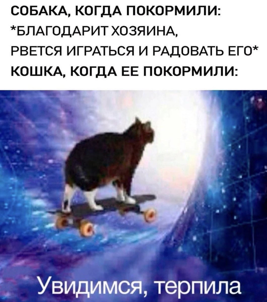 treschenko24's tweet photo. Сукааа ахаха https://t.co/ADwG74pJm2