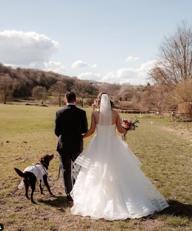 GilbertWhites's tweet photo. Our 2023 Wedding season is over!
Thank you to all the couples who spent their special day with us! 
There are a few gaps left in our 2024 calendar so it's not to late to get in touch with us.

Photo Credits:
Paul Mansell
@lifeinwellingtons
@katherine_and_her_camera https://t.co/CIGcwA4i08