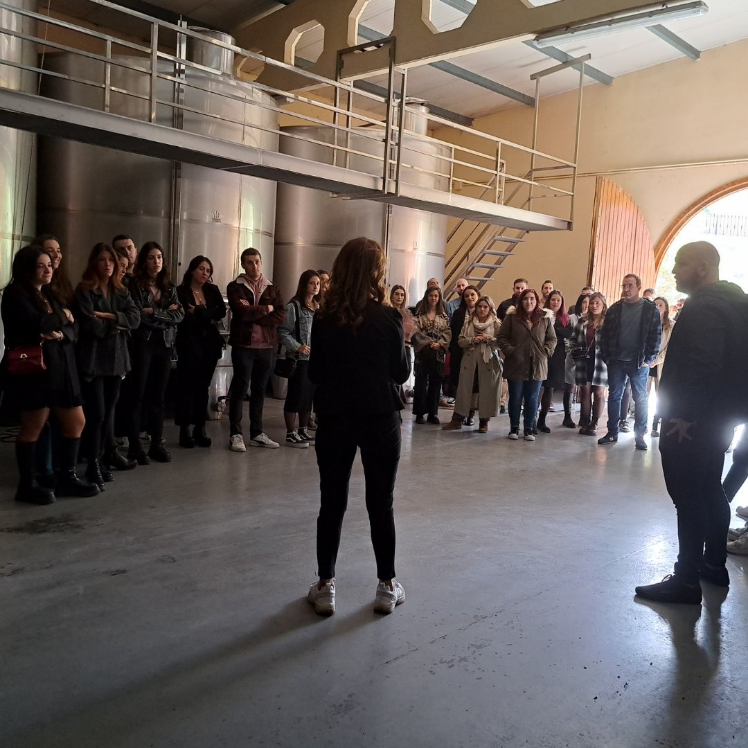 amadorgarciabod's tweet image. 🍷 Durante este fin de semana hemos recibido la visitas de un grupo de 10 vizcaínos y a la entrañable cuadrilla de blusas de Vitoria, @LOSALEGRIOS 

🗺️ Buen #vino, buena compañía y la belleza natural de #RiojaAlavesa ¿Qué mejor plan se te ocurre para el fin de semana?