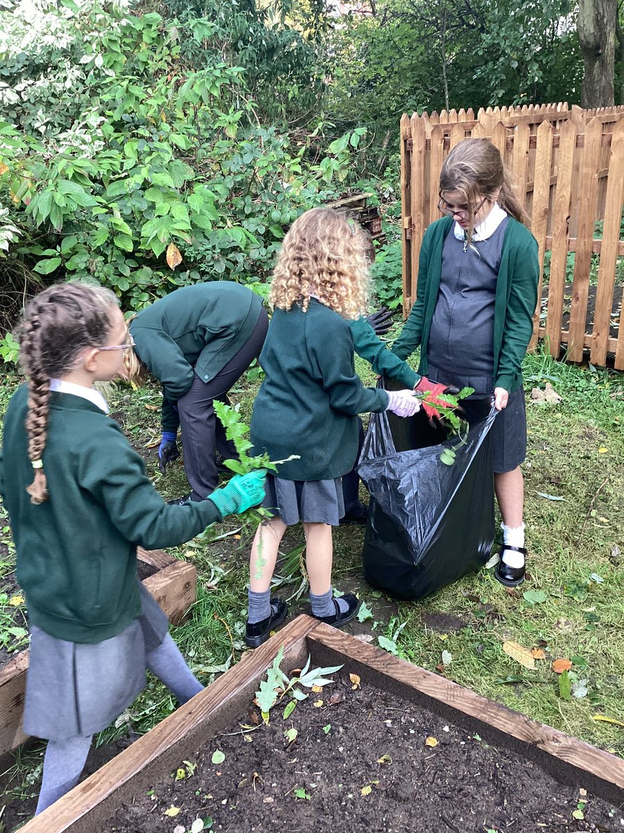 ecclaneends's tweet photo. Children from Y3 &amp; Y5 looking after the wildlife area. They did a great job weeding the beds and even found some visitors! #lookingafterourenvironment #nature https://t.co/uHzt2tFRyW