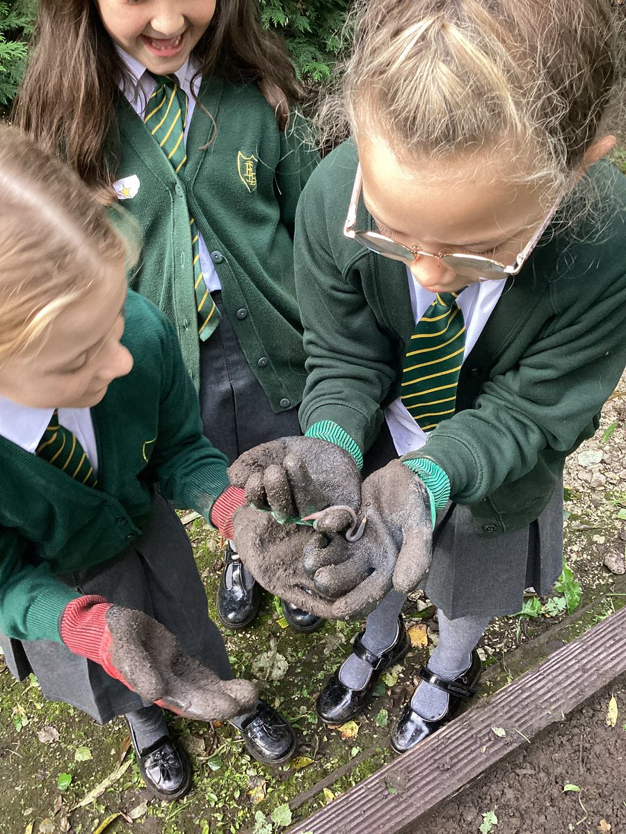 ecclaneends's tweet photo. Children from Y3 &amp; Y5 looking after the wildlife area. They did a great job weeding the beds and even found some visitors! #lookingafterourenvironment #nature https://t.co/uHzt2tFRyW