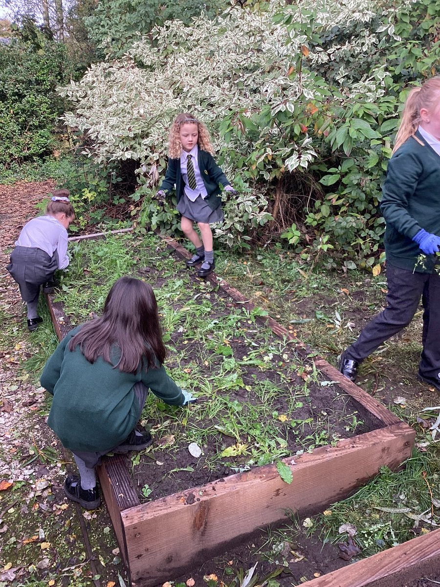 ecclaneends's tweet photo. Children from Y3 &amp; Y5 looking after the wildlife area. They did a great job weeding the beds and even found some visitors! #lookingafterourenvironment #nature https://t.co/uHzt2tFRyW