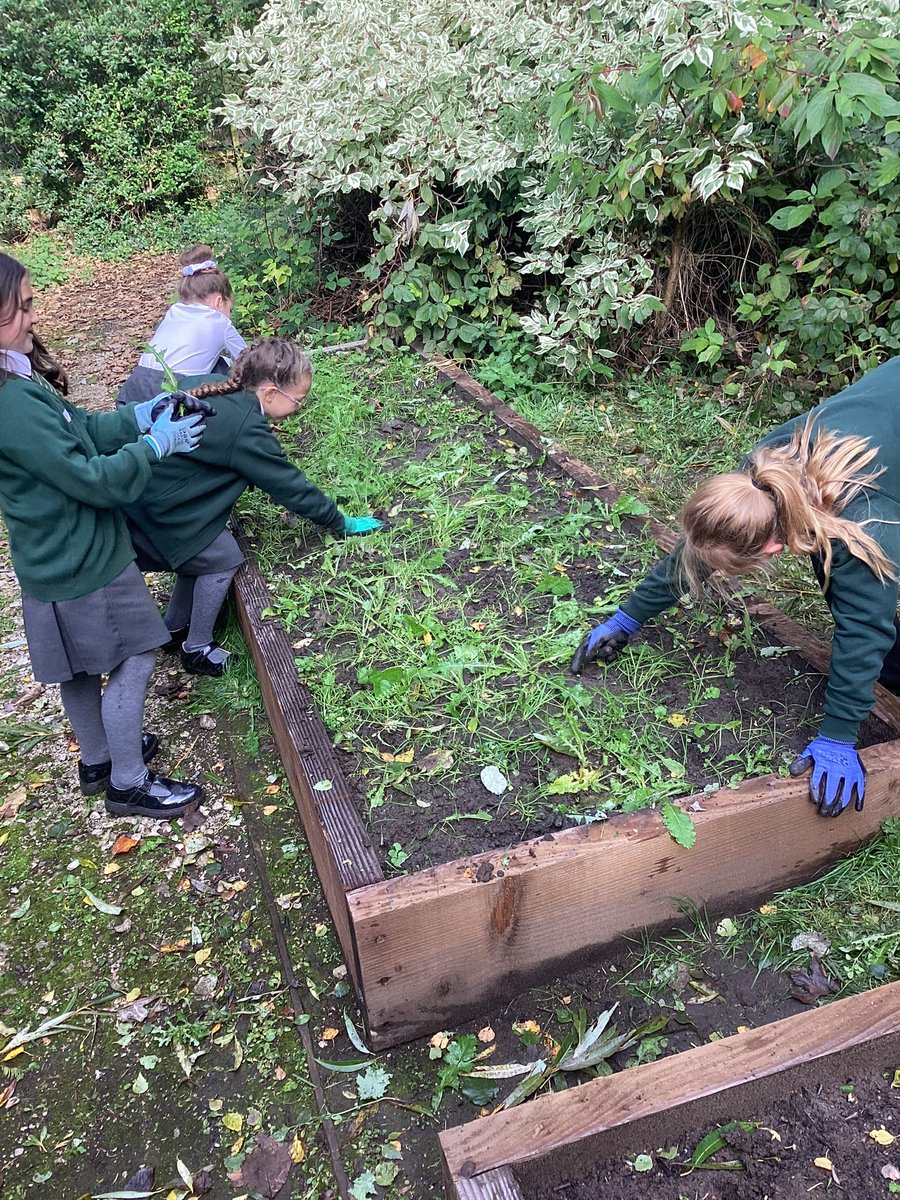 ecclaneends's tweet photo. Children from Y3 &amp; Y5 looking after the wildlife area. They did a great job weeding the beds and even found some visitors! #lookingafterourenvironment #nature https://t.co/uHzt2tFRyW