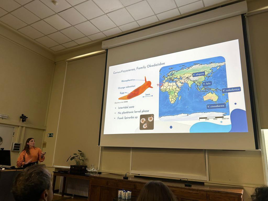 Slug_Lab's tweet photo. Carla Canet and the invasion of the tiny Vayssierea! https://t.co/sWNCTDRFma