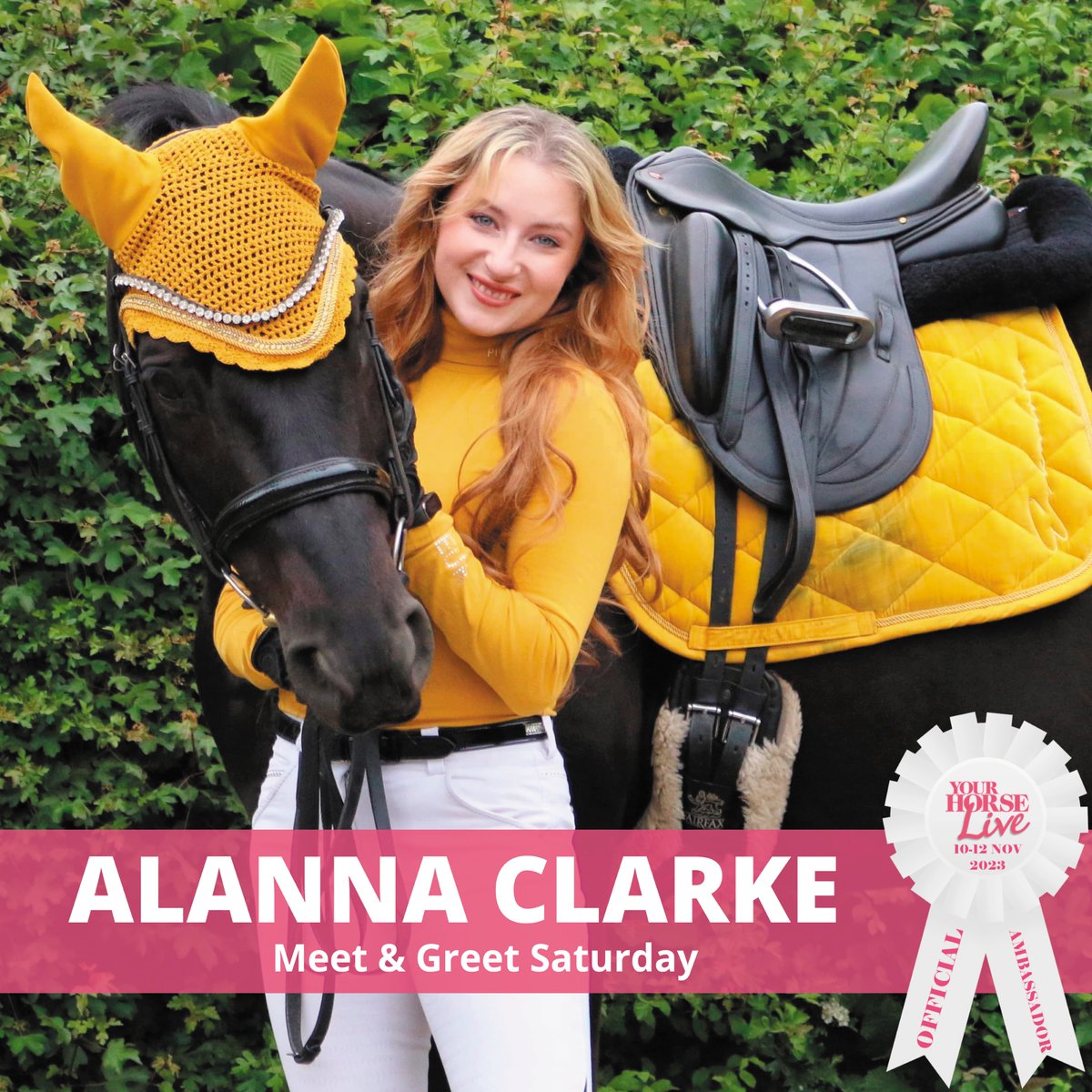YourHorseLive's tweet photo. Meet @ACE_equestrian on Saturday 11th November at Your Horse Live!!📷

Alanna's meet and greet will be between 10.45am - 11.15am!

**All Meet &amp; Greets/talks are subject to availability**

Save £££'s book discounted advanced tickets today: https://t.co/SSSTmaN8Y2 https://t.co/h4VVCmI5Nw