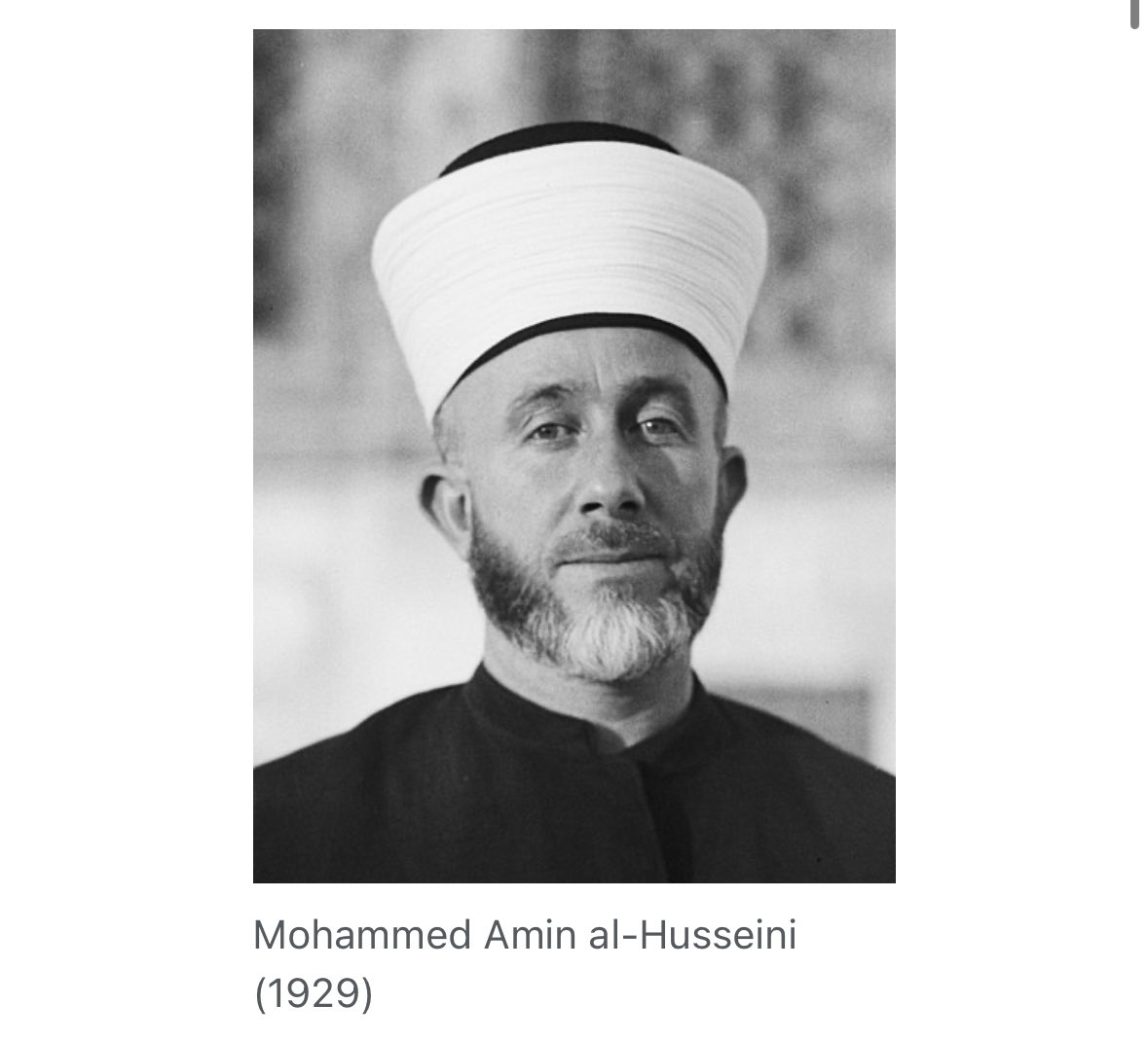 Tiger_MD tweet media