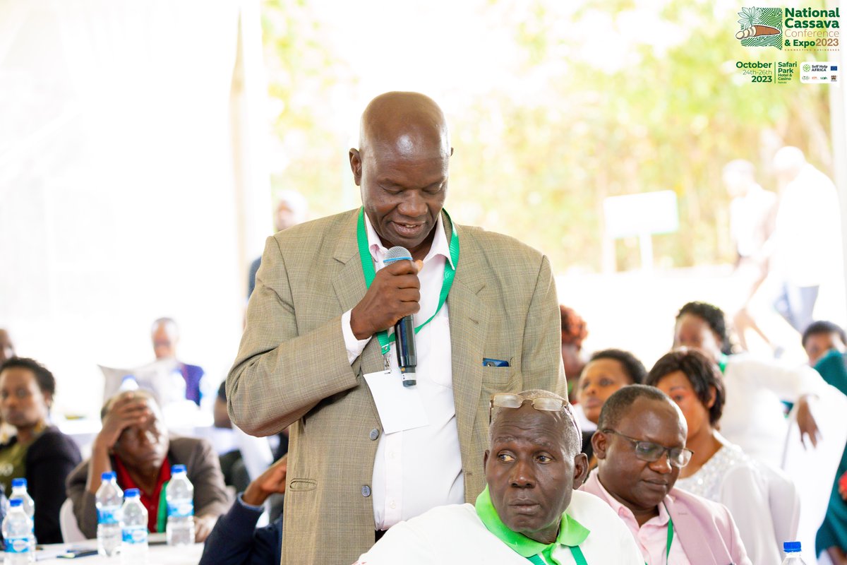 NationalCassava's tweet photo. Learn how cassava, with its gluten-free goodness and economic advantages, can shape a sustainable food future.
watch us here! https://t.co/TEwpTE0gPd
#cassavacon #CassavaExpo2023 #NationalCassavaCon #CassavaIndustry #Kenya #Agriculture #FoodSecurity #EconomicDevelopment https://t.co/NZtGcduunP