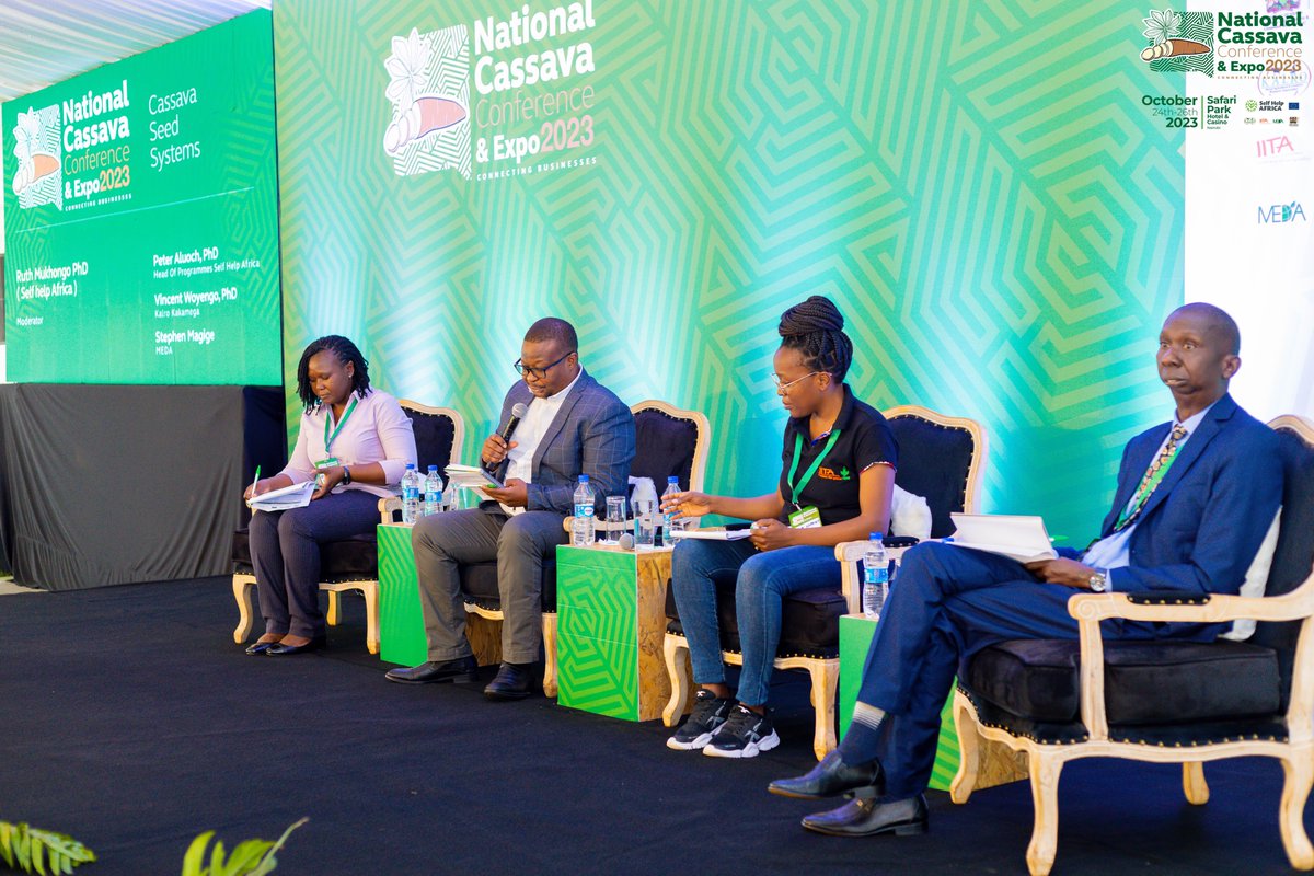 NationalCassava's tweet photo. Learn how cassava, with its gluten-free goodness and economic advantages, can shape a sustainable food future.
watch us here! https://t.co/TEwpTE0gPd
#cassavacon #CassavaExpo2023 #NationalCassavaCon #CassavaIndustry #Kenya #Agriculture #FoodSecurity #EconomicDevelopment https://t.co/NZtGcduunP