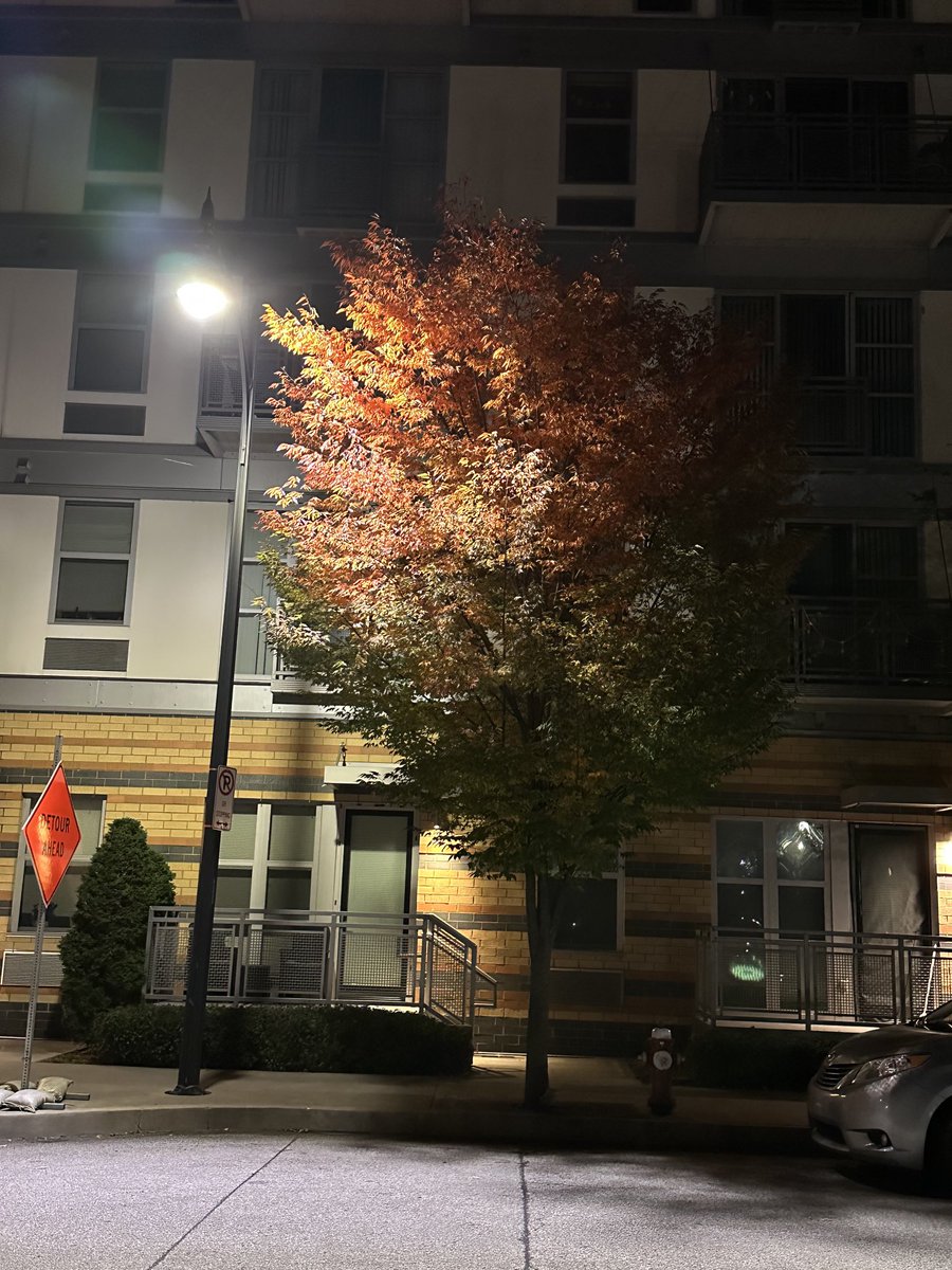 Richard Kadrey tweet media