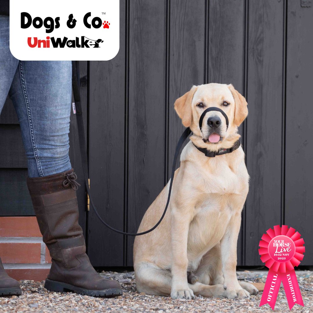YourHorseLive's tweet photo. We excited that Dogs &amp; Co. will be exhibiting at YHL!

Make sure you stop by their stand and check out their UniWalker Training Leads, Handmade leather Dog Collas &amp; Leadsband Christmas Toys.

Save £££'s book discounted advanced tickets today: https://t.co/SSSTmaN8Y2 https://t.co/m6E4Z0L1cQ