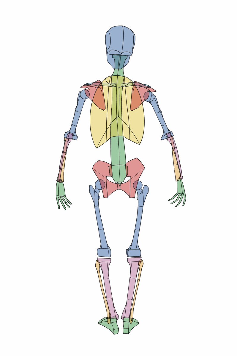 「」|伊豆の美術解剖学者のイラスト