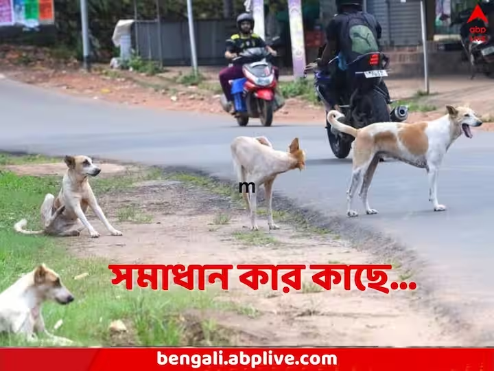 abpanandatv's tweet photo. রাস্তায় বেরনোর উপায় নেই, রক্ষা পেলেন না কোটিপতি ব্যবসায়ীও, পথকুকুরদের আগ্রাসন থেকে মুক্তি মিলবে কি?
#StraDogs #ParagDesai #StrayDogMenace #ABPAnanda
https://t.co/5xx6P5N3jM https://t.co/fWaAMNTlrb