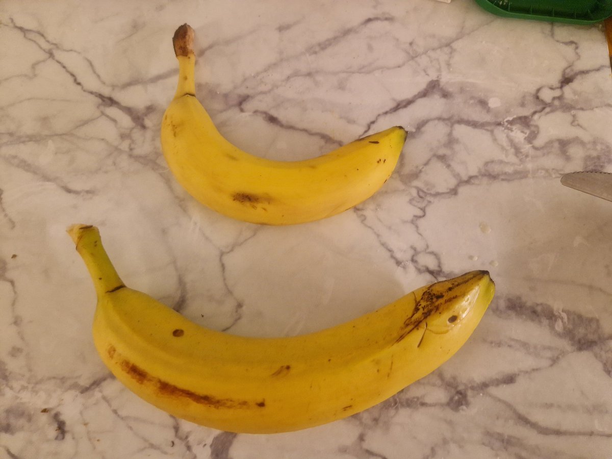msilvn's tweet photo. Banana. Banana for scale. https://t.co/a4yqd62Cn4
