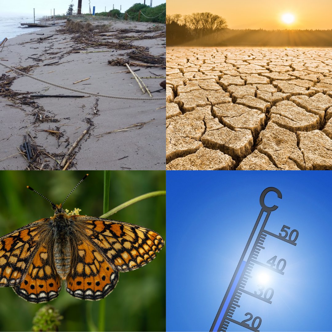 AMB Sostenibilitat tweet media