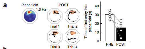 SystemsNeurosc1's tweet photo. @GdeLavilleon Compared to the PRE sessions, mice took significantly less time to run to the PF in POST trials (when pairing trials). However as trials went on, the mice became less interested in the PF and ran around more. 🏃🐁 https://t.co/NINCar7F9N