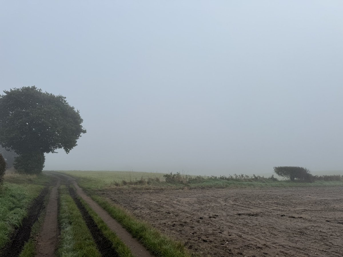 Eerie views out on the cross country course with year 7’s yesterday 👻 <a href="/MedenSchool/">Meden School</a>
