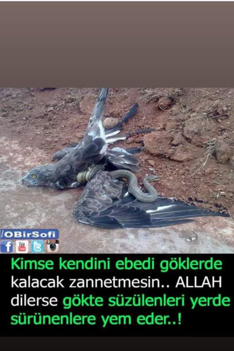 👏👏👏 aynen öğle