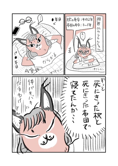 ついでに枕の寿命と布団の寿命も知ったカラカルちゃん