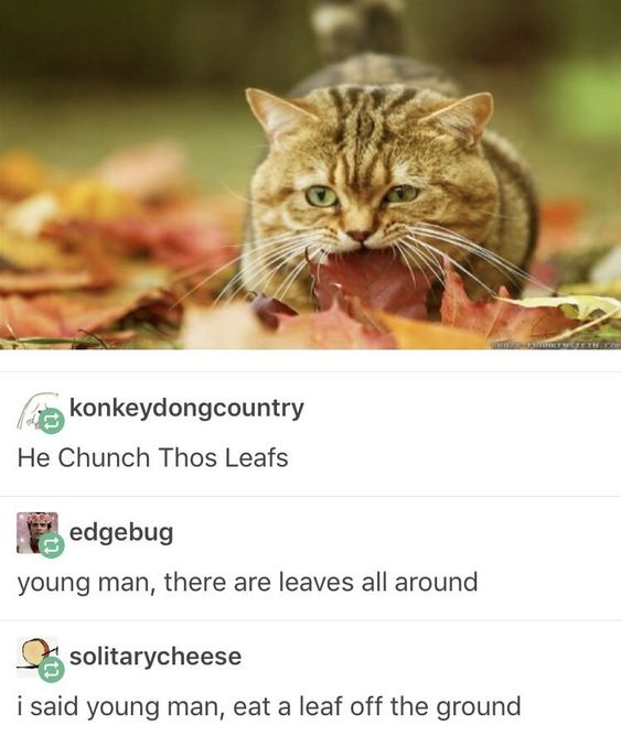 WholesomeMeme's tweet photo. https://t.co/b3XeCk8Dxm