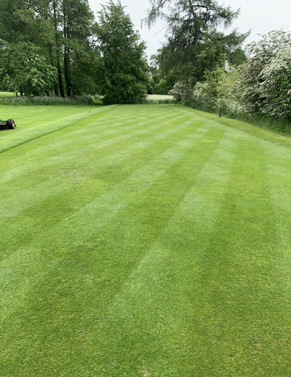 With the wet weather relenting, it’s was good to get out and hand cut the tees this afternoon