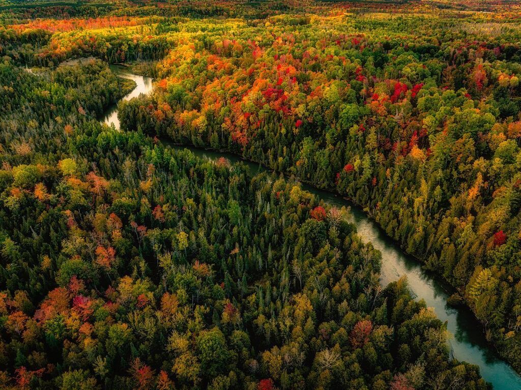 Manistee River #manisteeriver #puremichigan #mavic3cine #lightroom #onlyinmichigan #bestofthegreatlakesstate #m22life #manistee #michiganphotography #fall #fallcolors #puremichiganders #yespuremichigan #fallfilter #upnorth #capturingmichigan #michigan #m… instagr.am/p/CyyXOboLiz_/