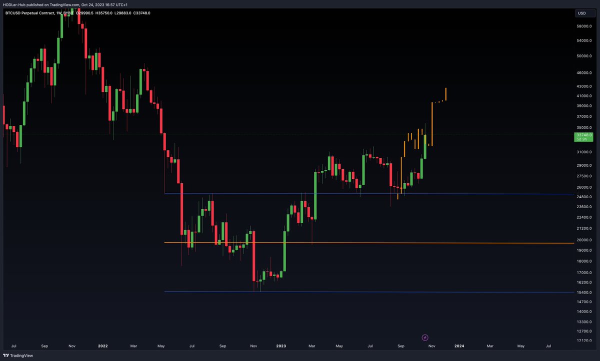 HODLer Hub tweet media