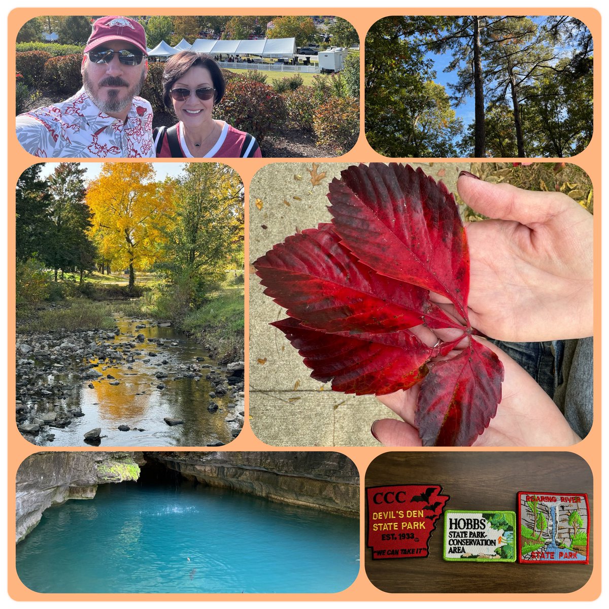 Trina Carpenter 🐾 (@carpentertrina1) on Twitter photo Arkansas & Missouri~ good to see you again~ you did not disappoint!
#leafpeepers #razorbacks #retirement <a href="/drew_carpenter1/">Drew Carpenter</a> Arkansas & Missouri~ good to see you again~ you did not disappoint!
#leafpeepers #razorbacks #retirement <a href="/drew_carpenter1/">Drew Carpenter</a>