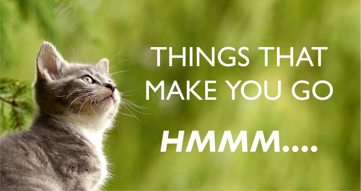 McLovins Pet tweet media