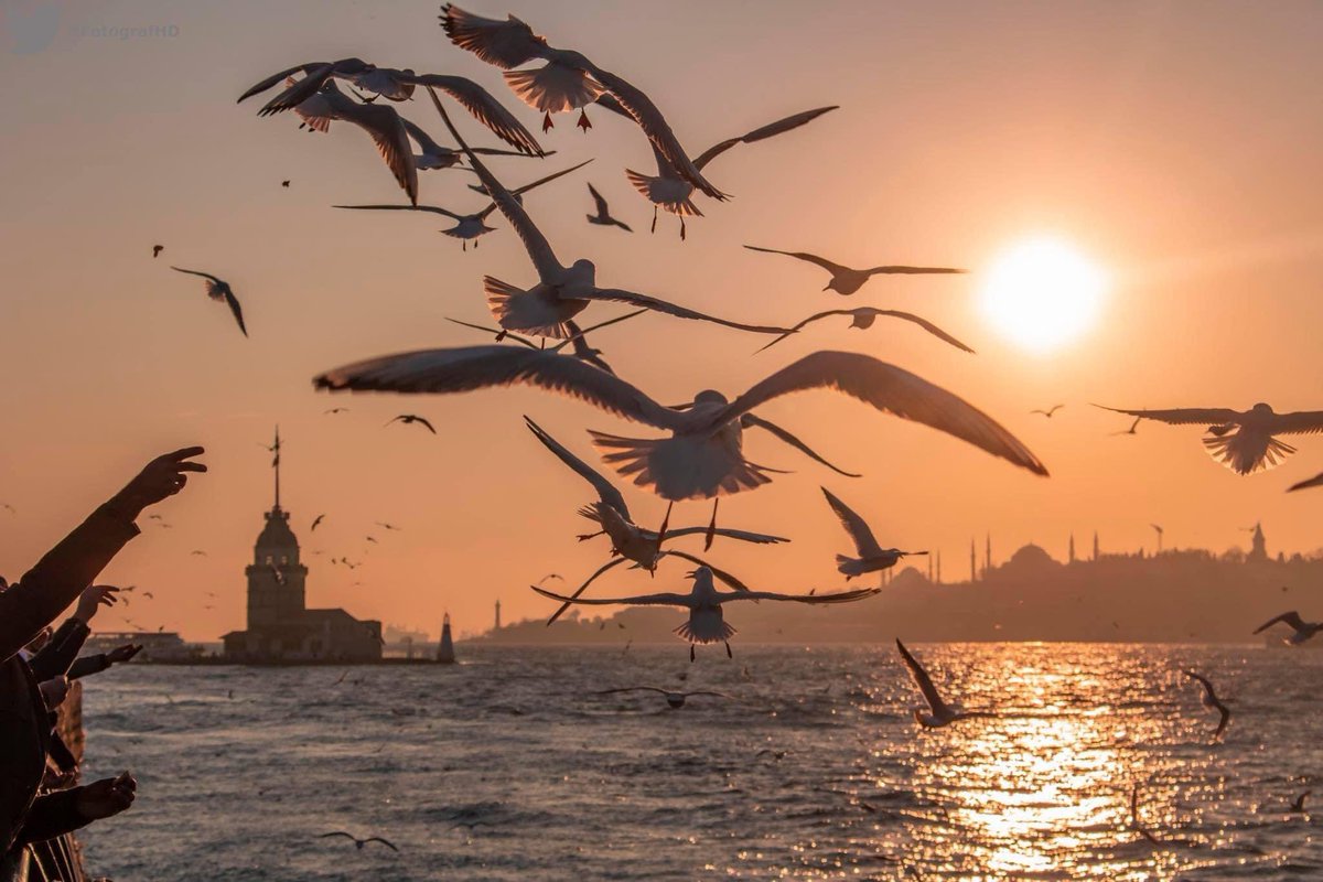 Hazan mevsimidir bu. Sözlerin tükendiği günleri yaşıyoruz. Rabbim yardımcımız olsun ve cümlemizin sonunu hayırlı eylesin, amin.
