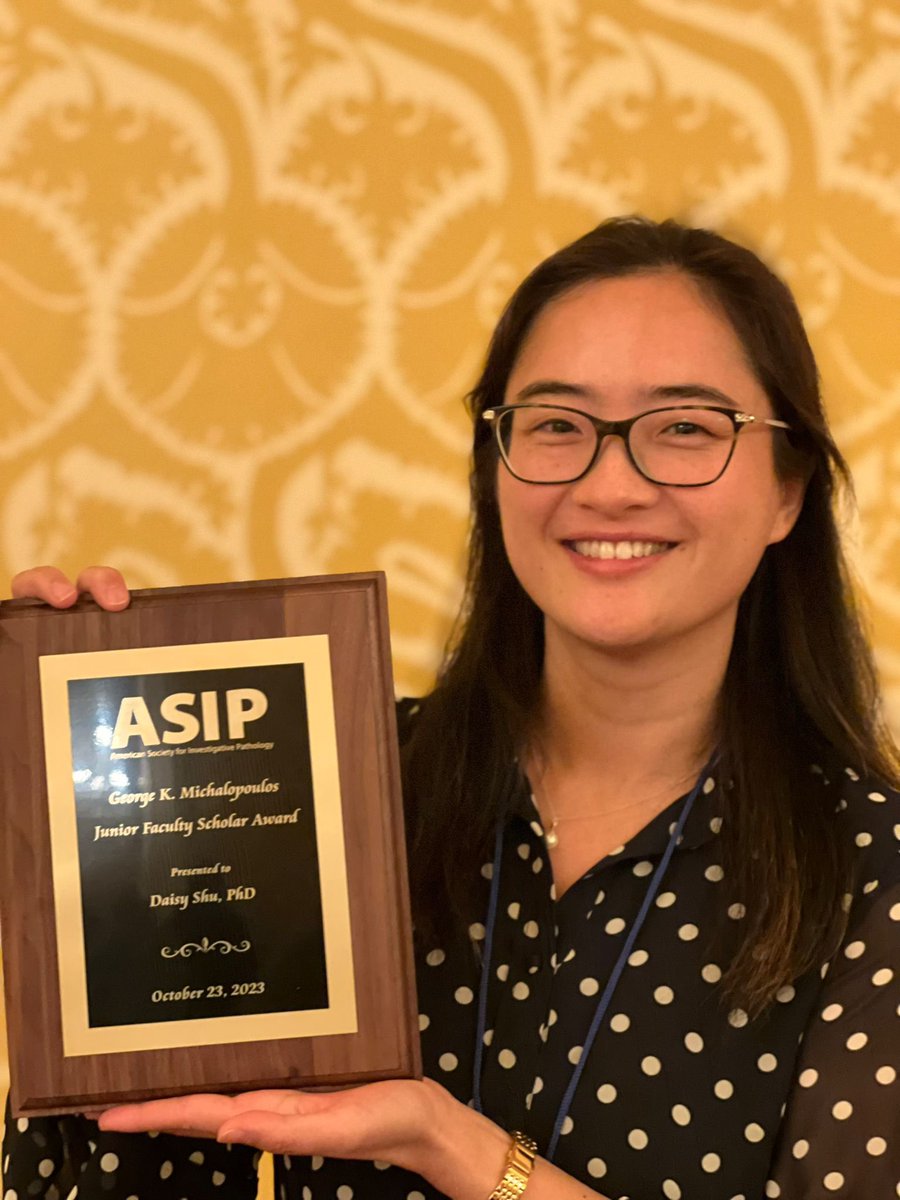 EyeDaisyShu's tweet image. So honored to be a recipient of the @ASIPath George K. Michalopoulos Junior Faculty Scholar Award at the Tissue, Matrix, and Pathobiology:
Joint Meeting of ASMB, HCS, and ASIP #slc2023 @amsocmatbio @JHCnews